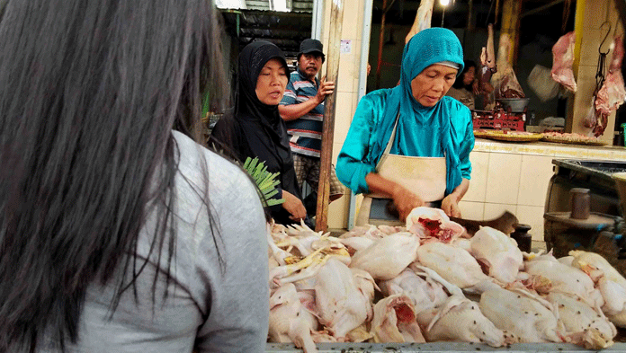 Harga Daging dan Telur Ayam Terus Naik