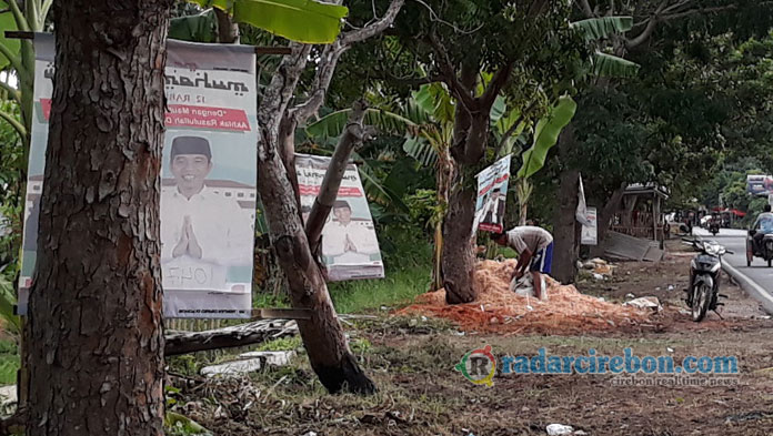 Walah, Marak Wajah Caleg Nempel di Pohon