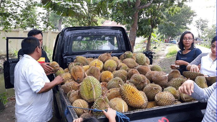 Pilih Makan Durian di Tempat