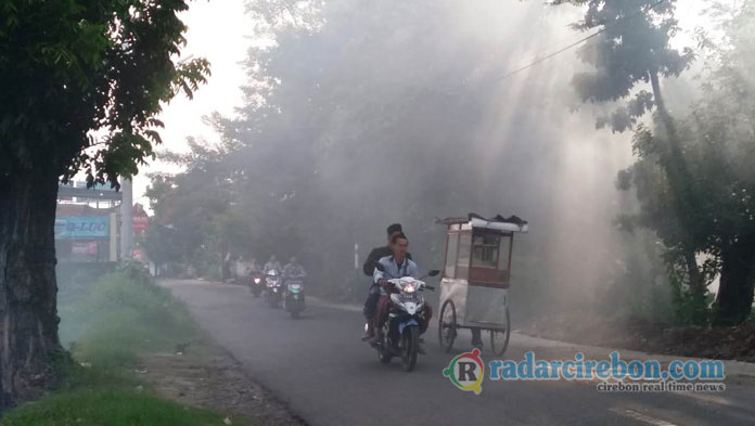 Asap Pembakaran Jerami Ganggu Pengendara