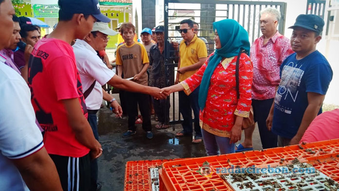 Bantuan Ayam Kementan Tak Boleh Dijual, Mati Harus Difoto