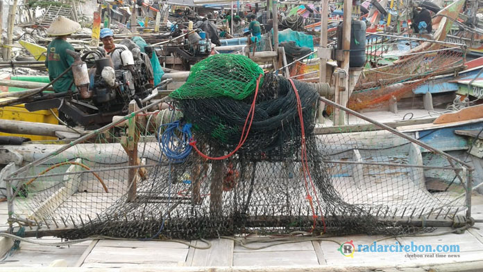 Marak Garok Teripang, HNSI Cirebon Minta Ada Penindakan