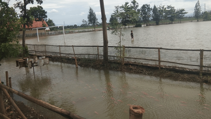 Pembudidaya Ikan Cemas Kebanjiran