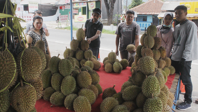 Pesta Durian 29 Kembali Hadir di Sangkan Park