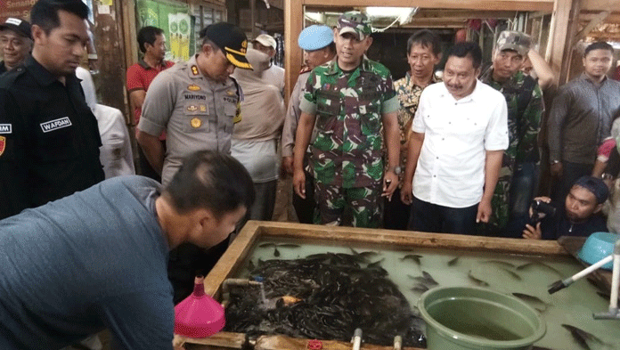 Daging Ayam Naik, Harga Cabai Turun