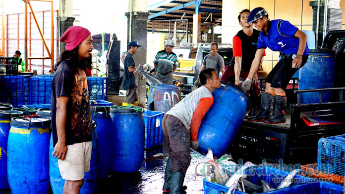 Cool Storage Karangsong Kurang Memadai, Hanya Sanggup Tampung 150 Ton Ikan