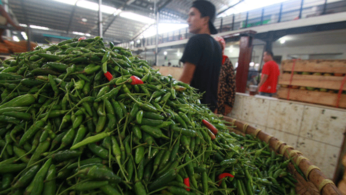 Harga Anjlok, Bikin Teknologi Penyimpanan Cabai Rawit atau Diolah