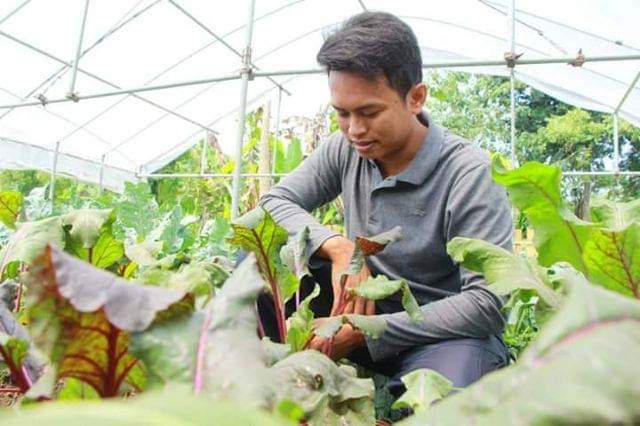 Mentan Bidik 1 Juta Millenials: Mungkinkah Generasi Milenial Menjadi Petani?