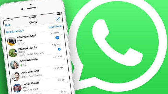 Begini Cara WhatsApp untuk Video Call dan Voice Call Group