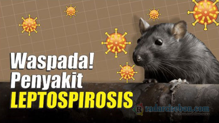 Dinkes Kabupaten Cirebon Imbau Waspada Penyakit Leptospirosis