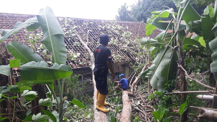 Angin Kencang, Atap SD Sampora Rusak Parah Tertimpa Pohon