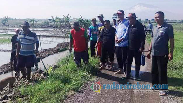 Camat Jamblang Pimpin Gropyokan Tikus di Sawah