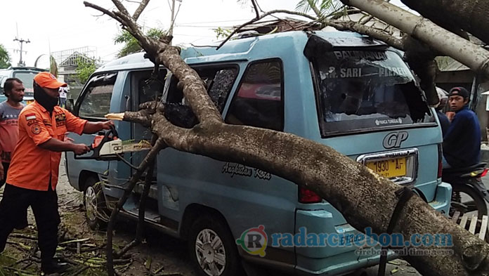 Pohon Tumbang Timpa Angkot, Alhamdulillah Penumpang Selamat