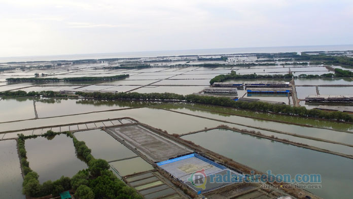 Dokumen Tidak Jelas, Jual Beli Lahan Losari Berpotensi Rugikan Warga