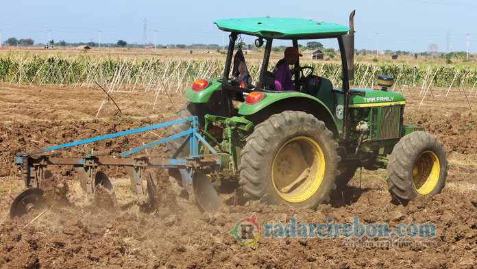 Petani Tebu di Kabupaten Cirebon Belum Dapat Kredit Garapan