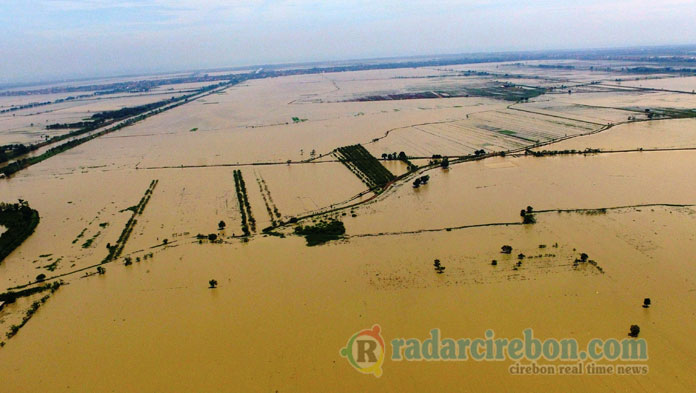 Distan Sebut Jika 3 sampai 5 Hari Banjir Tidak Surut, Terpaksa Tanam Ulang