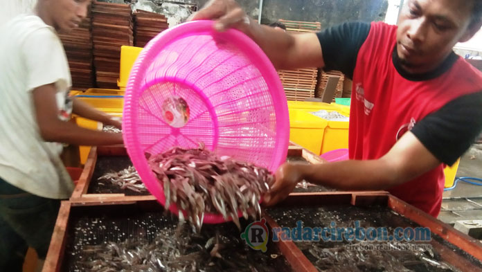 Terkendala Cuaca, Produksi Ikan Asin di Kabupaten Cirebon Berkurang