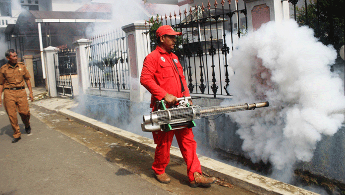 14 Warga Cigadung Terkena DBD