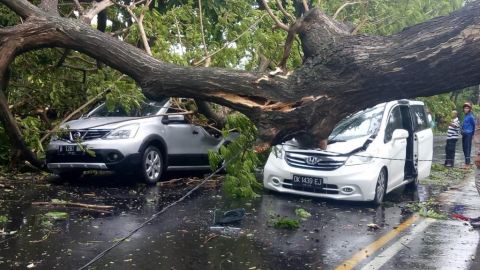 Hujan Angin Kencang, Satu Orang Tewas di Bali