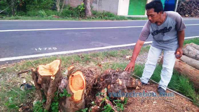 Pulang dari Sawah Naik Motor, Tewas Tertimpa Pohon Tumbang