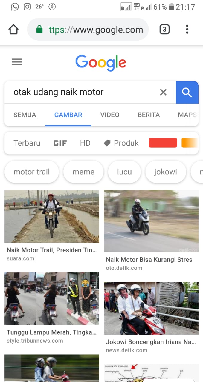 Ketik Kata ‘Otak Udang Naik Motor’ Muncul Foto Jokowi di Google, Kok Bisa?