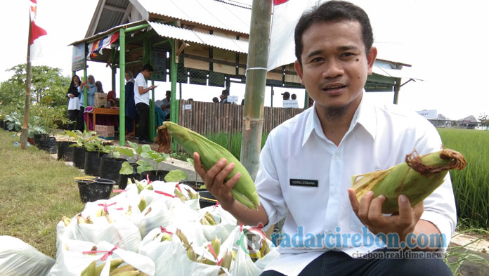 Walah, Harga Jagung Terjun Bebas