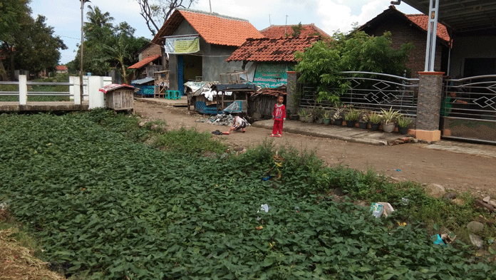 Parah, Sungai Kalirahayu Tertutup Sedimentasi