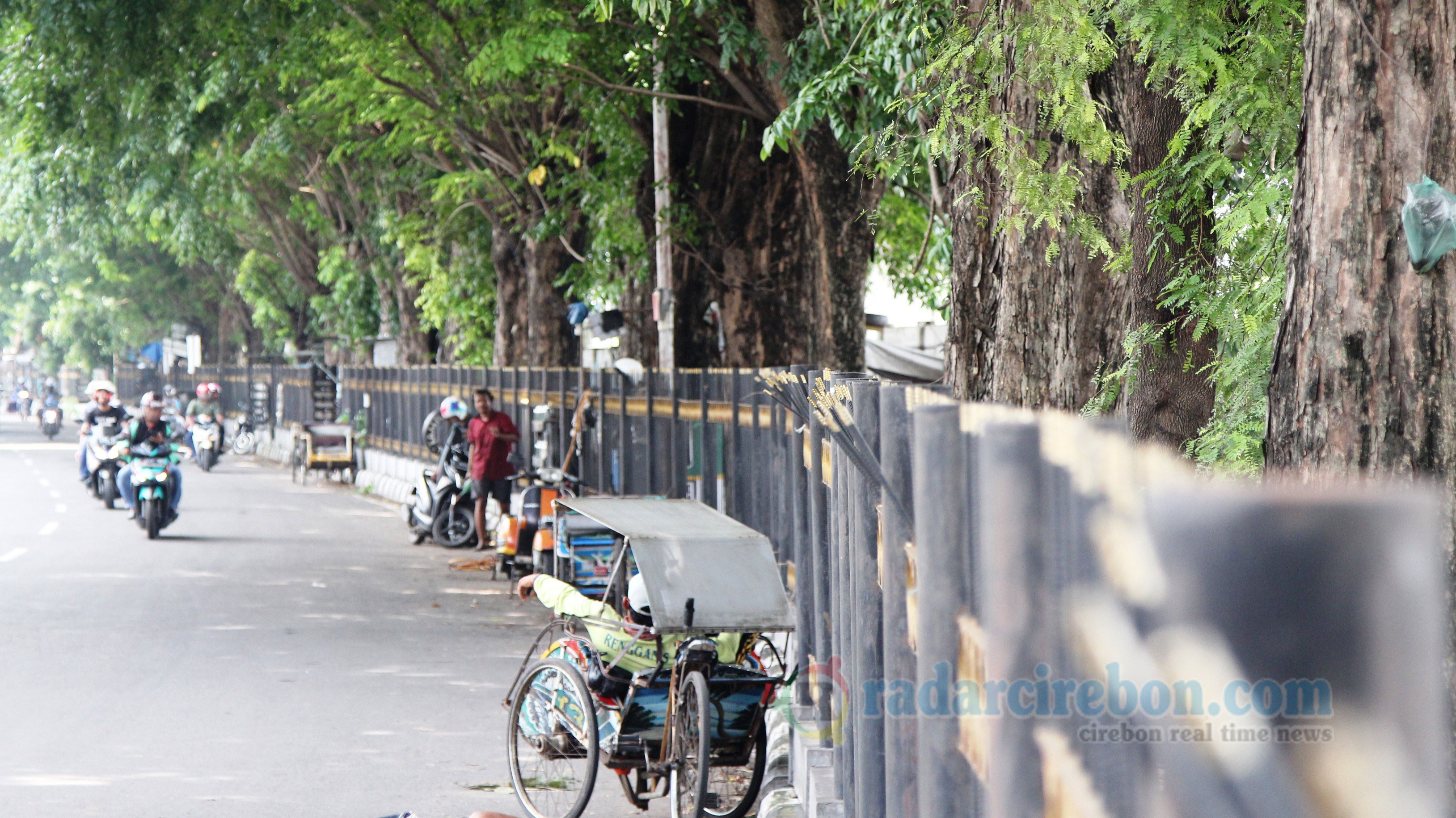 Waspada! Ini Tujuh Lokasi Rawan Pohon Tumbang di Kota Cirebon