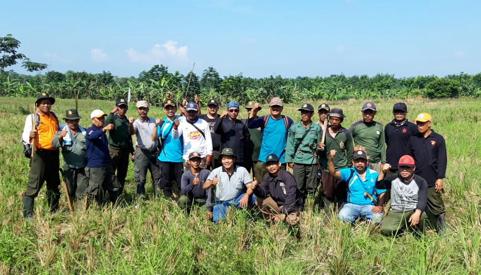 Perhutani dan LMDH Tanam Jati di Tol Cipali