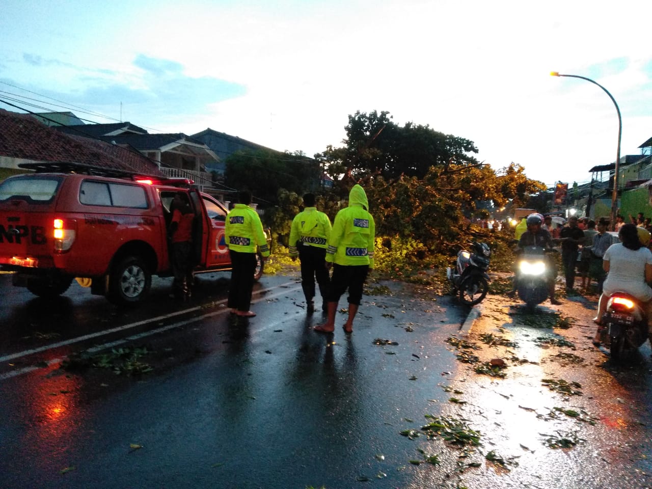 Hujan Lebat Angin Kencang Akibatkan Pohon Tumbang di Sejumlah Titik