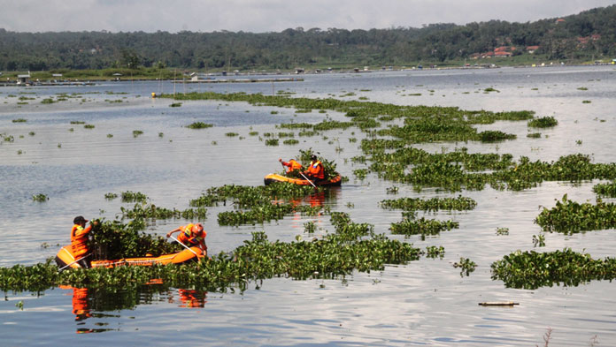 Jadi Tuan Rumah Peringatan Hari Air Sedunia, Eceng Gondok Waduk Darma Dibersihkan