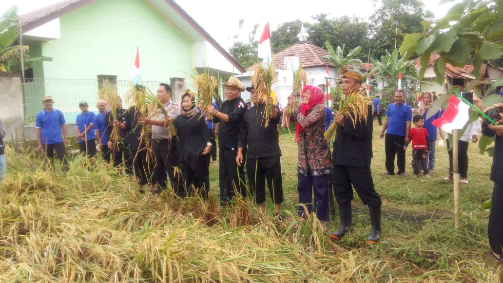 Desa Wiyong Jalani Tradisi Mapag Sri