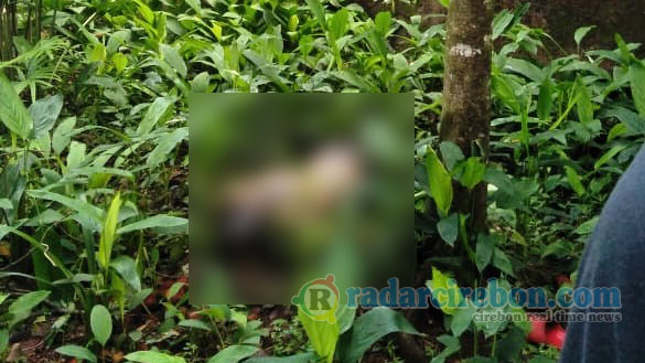 Hilang Tiga Hari, Eman Ditemukan Tewas Membusuk di Kebun