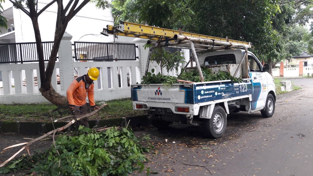 Banyak Pohon Tumbang, PLN Pangkas Ranting Pohon