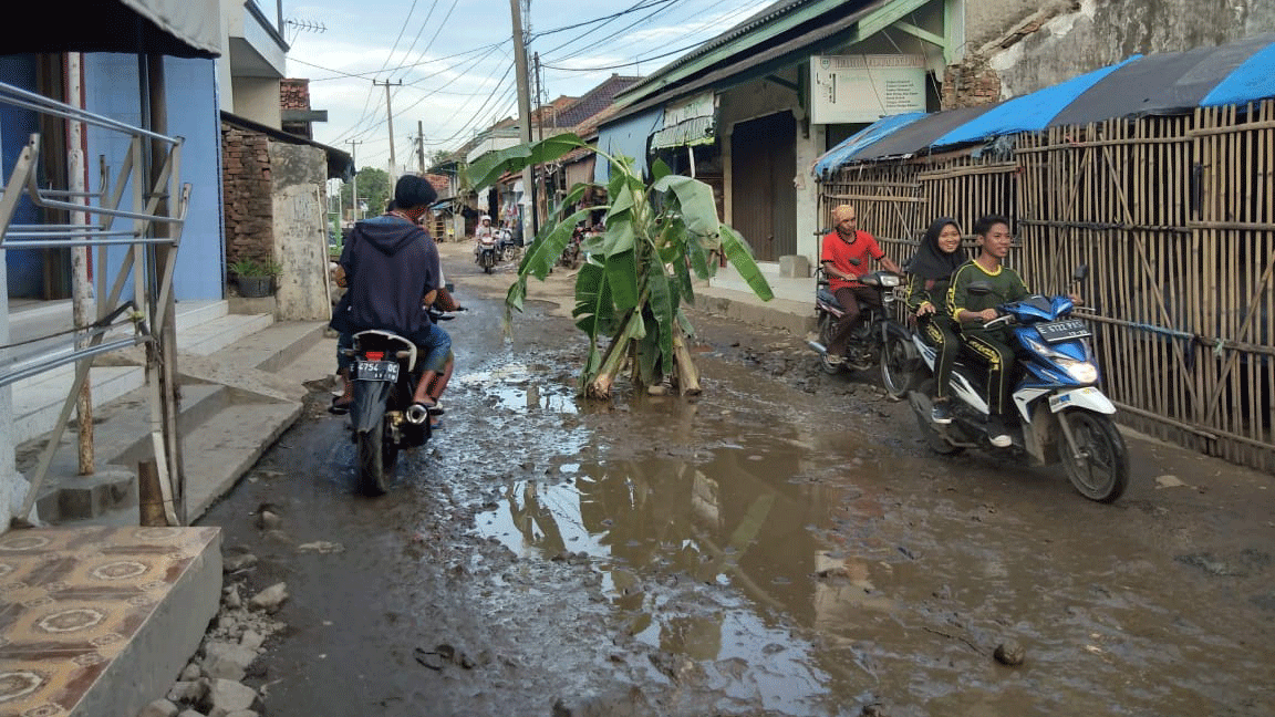 Jalan Rusak Mirip Kubangan Warga Protes, Tanam Pohon Pisang di Jalan