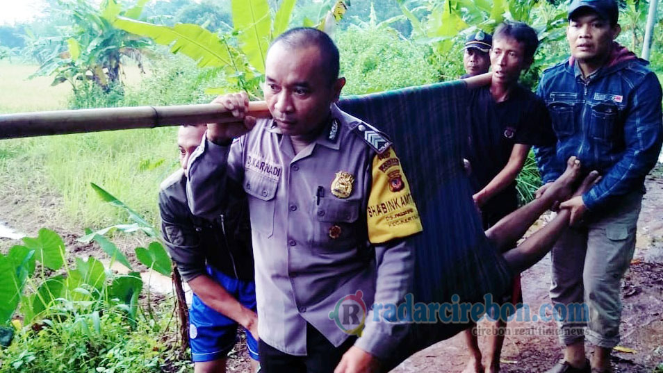 Innalillahi, Warga Indramayu Ditemukan Tewas di Sawah