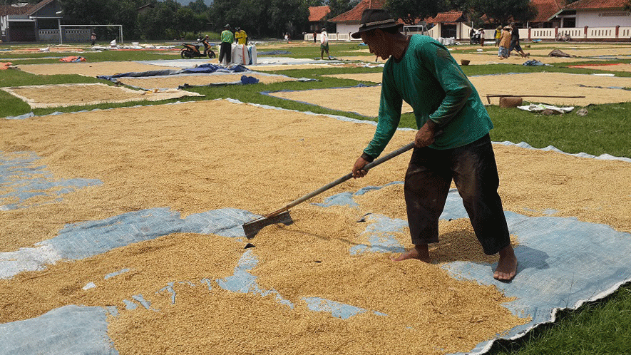 Minta Pemerintah Perhatikan Nasib Petani