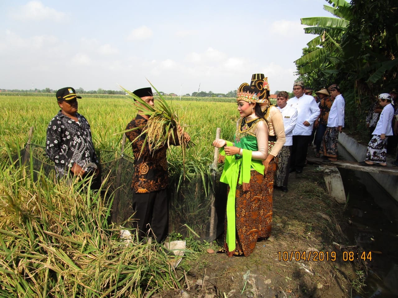 Ritual Mapag Sri Gegesik Kidul Lestarikan Budaya Leluhur