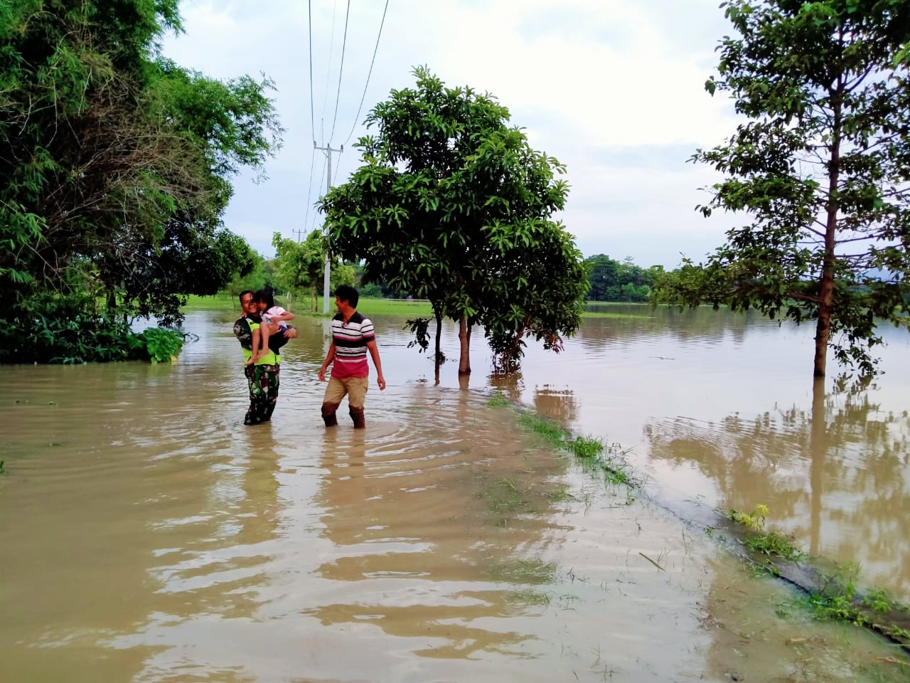 Sawah di Sukawera Terancam Gagal Panen