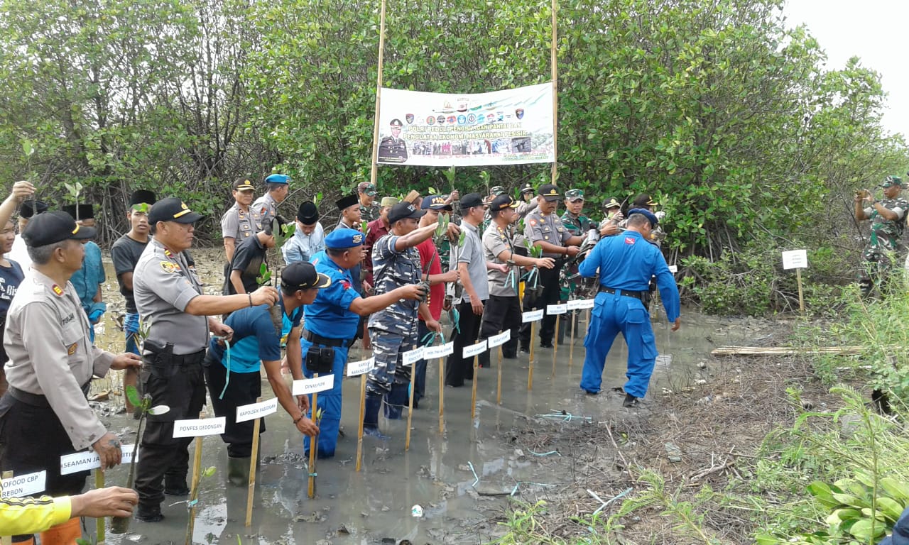 Tiga Tahun, 8 Hektar Lahan Terkikis Abrasi