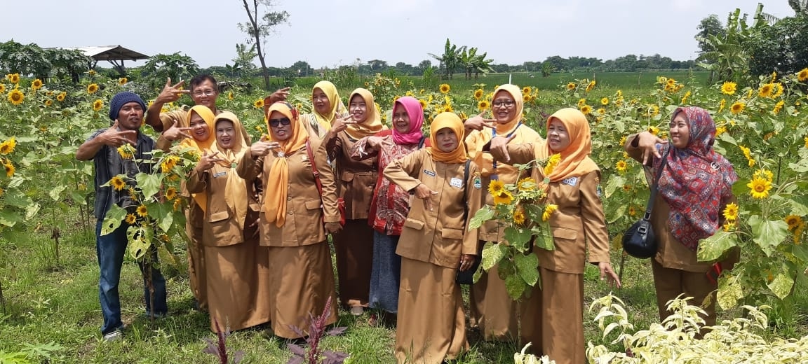 Menarik, Agrowisata Pertanian di Kedungsari