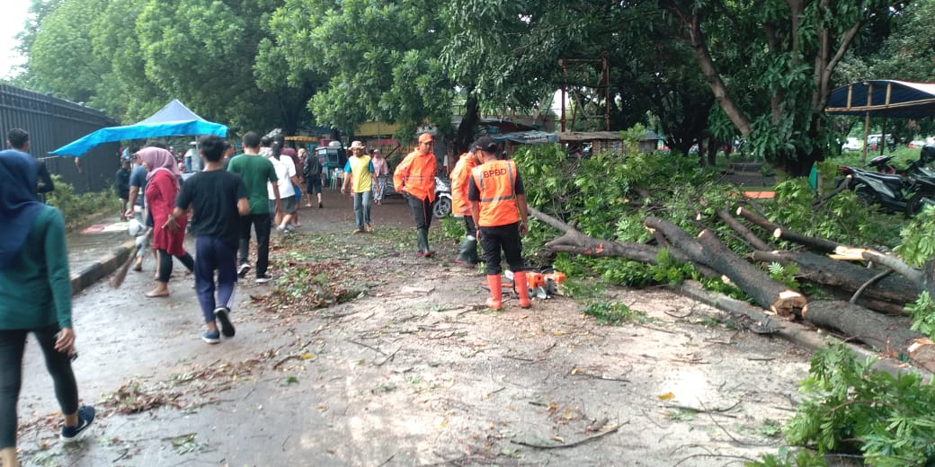 Jalan Stadion Bima Sempat Tertutup Pohon Tumbang