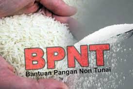 Penyaluran Bantuan Terdampak Covid-19 Dipercepat