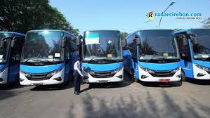 Investor BRT Mundur, Layanan Transportasi Tanggung Jawab Pemerintah