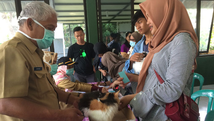 Terinfeksi Virus, Belasan Kucing Mati Mendadak