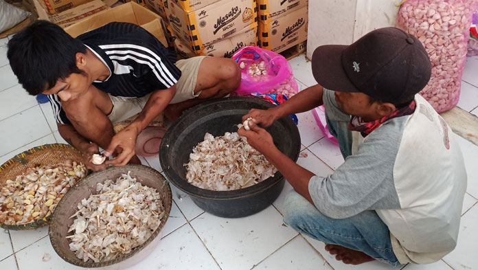 Harga Bawang Putih Kembali Normal