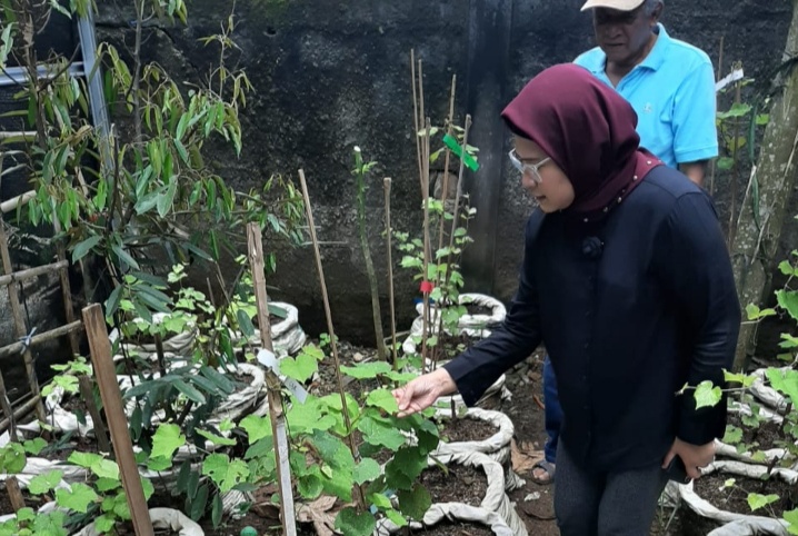 Nina Dukung Sistem Pertanian Indramayu Ramah Lingkungan