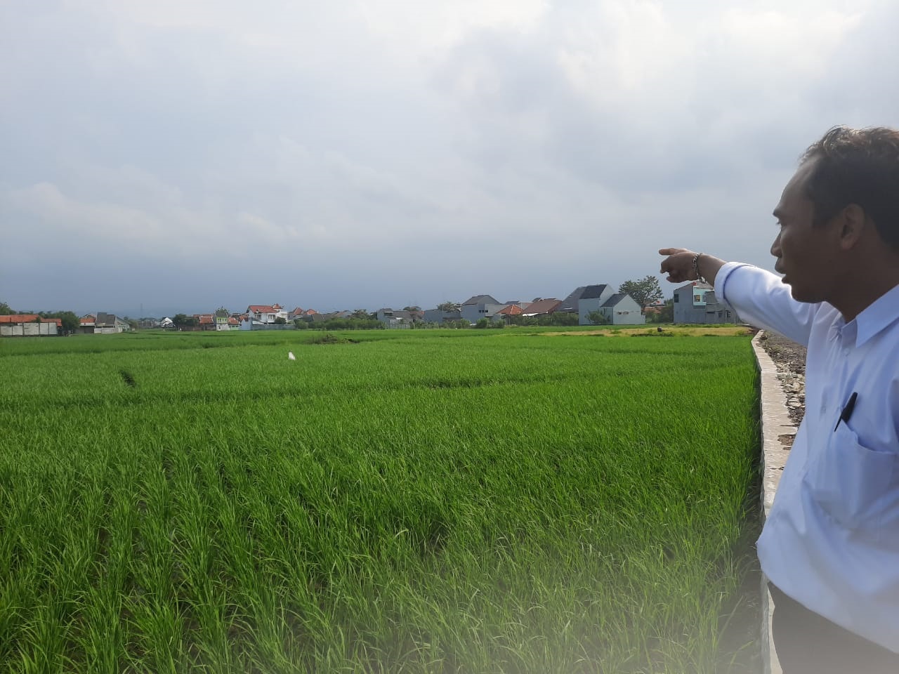 Tanah Bengkok Bakal Disulap Jadi Desa Wisata