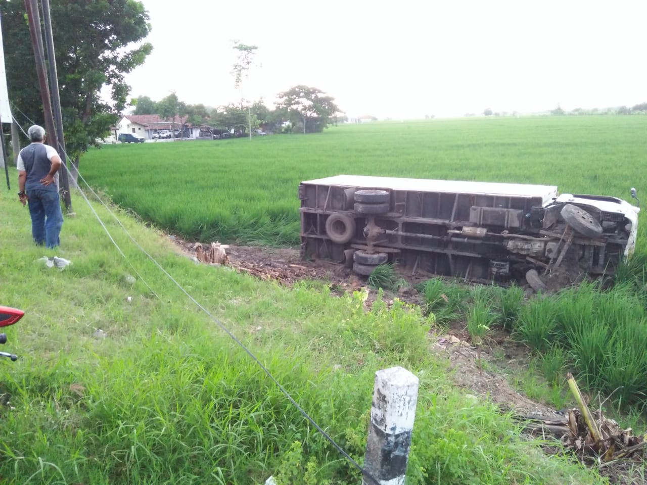 Masuk Sawah, Sopir: Pikiran Saya Seperti Kosong