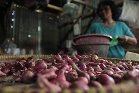 Harga Bawang Merah Melonjak